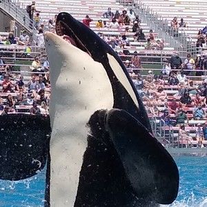 Meet your Posher, Regina